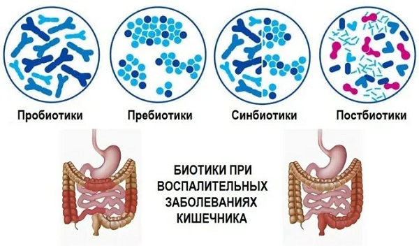 пробиотики, пребиотики и постбиотики