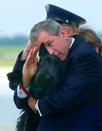 Самым знаменитым президентским военным приветствием в США, пожалуй, стало «козыряние» в исполнении Джорджа Буша-младшего. В момент отдачи чести руки главнокомандующего отказались заняты… собакой.