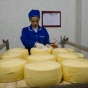 СМИ: Украина полностью восстановила экспорт сыра в Россию