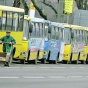 В Киеве исчезнут разноцветные маршрутки