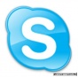 Веб-сервис Skype появится в начале 2011 года