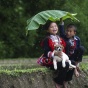 Восхитительный Вьетнам на снимках одного из самых именитых фотографов мира