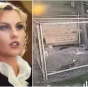 У Камалии дома хищник погубил 17 курочек