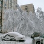 В Киеве начнут наказывать за неубранный снег