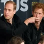 Принцы Гарри и Уильям обвинили корпорацию BBC в смерти их матери принцессы Дианы