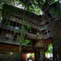 Самый большой в мире дом на дереве (ФОТО)