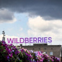 Після атак у РФ Wildberries розширює логістику в Казахстані