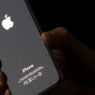 Дешевого iPhone не будет! Apple опровергла слухи о выпуске телефона