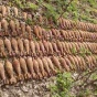 На Лысой горе в Киеве нашли более 100 мин