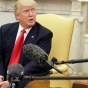 В США хотят усилить наказание за клевету