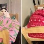 Спасенная кошка каждую ночь спит как человек в крошечной кроватке (ФОТО)