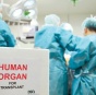 Трансплантацию органов умерших людей будут делать в следующем году
