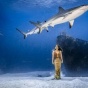 Известная модель снялась в опасной фотосессии с акулами (фото)