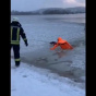 В Киеве спасли провалившегося под лед пса (видео)