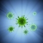 В Минздраве не верят в грипп-мутант