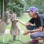 Исследователи определили, что кенгуру могут «общаться» с людьми