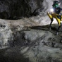 Ученые готовят марсианских собак, которые будут исследовать пещеры