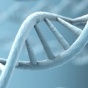Обнаружено, что экспрессия генов меняется на протяжении жизни