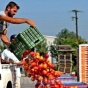 Россия пригрозила Украине продовольственным эмбарго