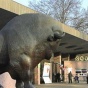 В Киевском зоопарке начали следить за посетителями