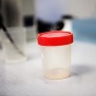 В Севастополе вышли на пикет обманутые доноры спермы