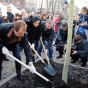 Попов разозлился из-за подозрительных каштанов - СМИ