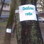 В Киеве на деревьях массово развесили признания "Люблю тебя"