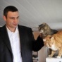 В Киеве построят "Центр защиты животных"