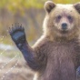 На месте Киевского зоопарка построят развлекательный центр