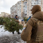 У КМДА розповіли, як у Києві відрізнити законно зрублену ялинку від незаконної