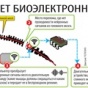 Трансплантация головы отменяется?