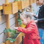 В Киеве появились фермы и экоогороды