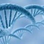 Обнаружены гены, вызывающие рак