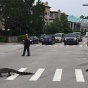 Во Флориде аллигатор перешел дорогу по «зебре»
