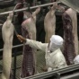 Беларусь отказалась от зараженной украинской свинины