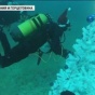 В Боснии и Герцеговине водолазы и спасатели нарядили елку под водой