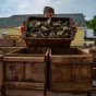 Во Франции похитили три тонны устриц