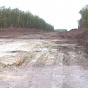 На Кировоградщине вырубили четыре километра заповедника