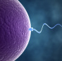 Підготовлений законопроект про допоміжні репродуктивні технології