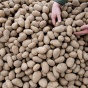 «Вооруженный» картофелем американец попытался ограбить магазин