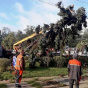 Во время урагана в Киеве повреждено 350 деревьев