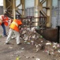 Брудний бізнес. У Києві виявили мільйонні оборудки на смітті