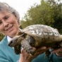 109-летняя черепаха вернулась к хозяйке после года разлуки