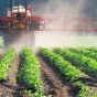 Украинским продуктам могут закрыть путь в ЕС