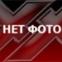 Птицы меняют характер пения, чтобы "перекричать" транспортный шум
