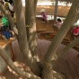 Удивительный дизайн: в Японии построили детский сад «на дереве» (ФОТО)