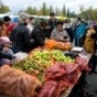 В Киеве 11-15 ноября пройдут продуктовые ярмарки