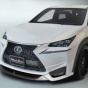 Японцы разработали программу стайлинга для Lexus NX