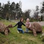 В киевском парке посетителей встречают каменные черепашки