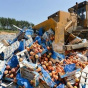 За пять лет в России уничтожили 36 тысяч тонн санкционных продуктов